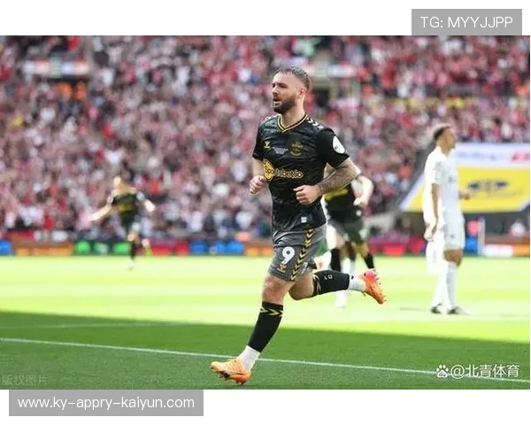 圣徒英超球队:南安普顿队(圣徒)的英超表现与历史