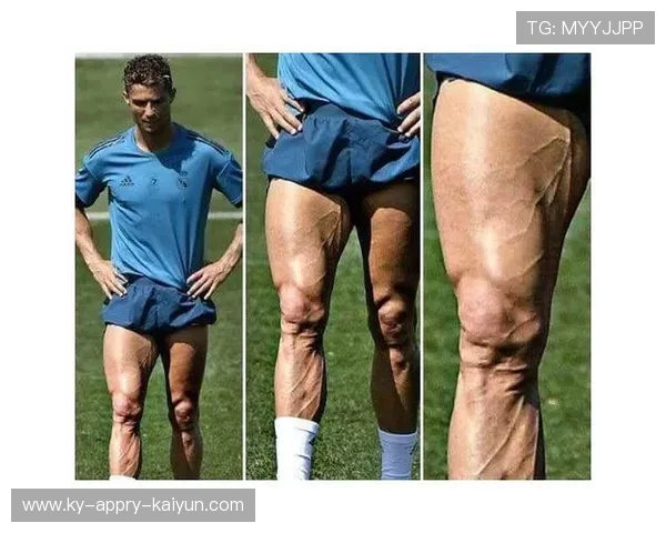 欧冠国王杯与西甲球队欧战表现对比分析