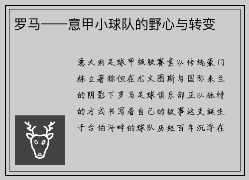 罗马——意甲小球队的野心与转变
