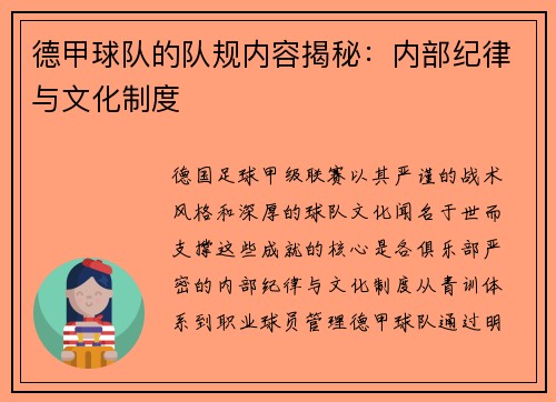 德甲球队的队规内容揭秘：内部纪律与文化制度